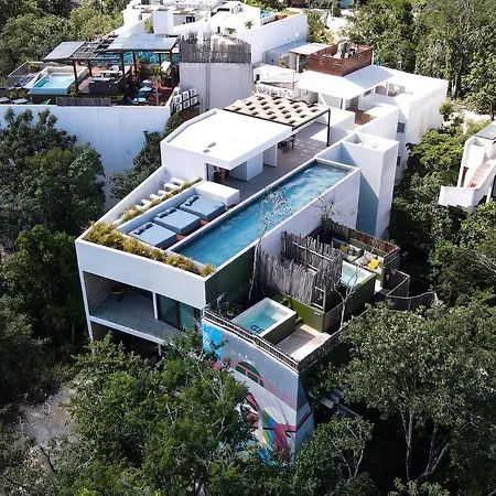 Azalea by Zamá Homes