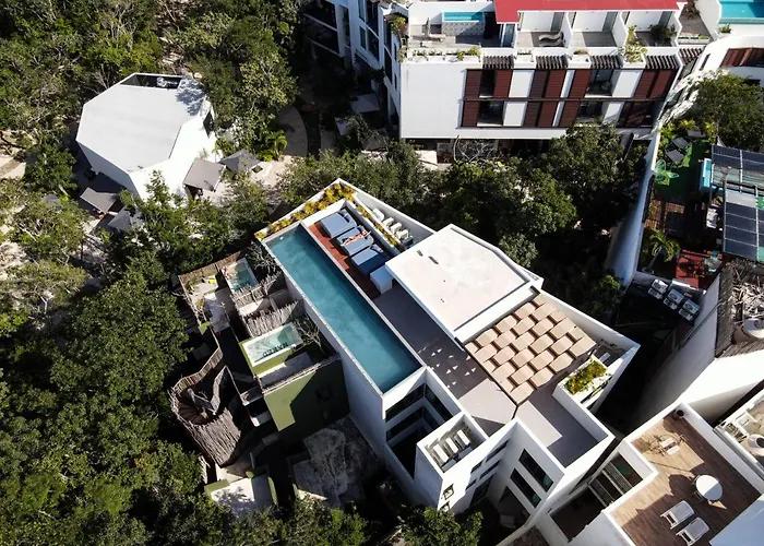 Azalea By Zama Homes Tulum